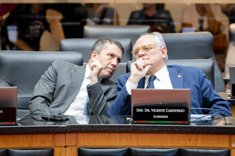 - Deputado Camilo Martins (Podemos) 	
 - Deputado Dr. Vicente Caropreso (PSDB)