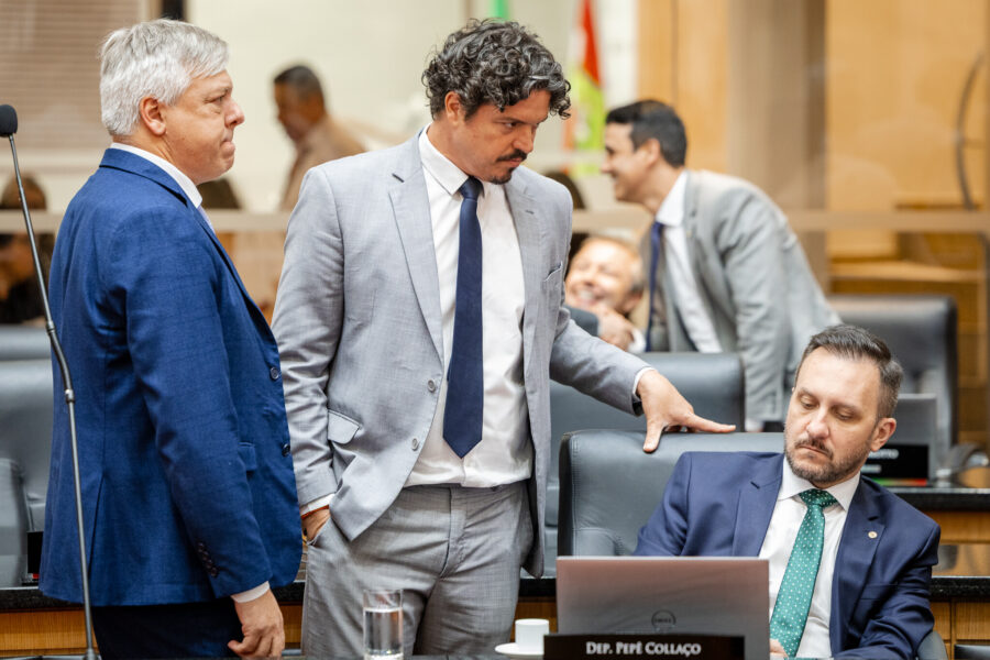 - Deputado Fabiano da Luz (PT)
- Deputado Marquito (PSOL)
