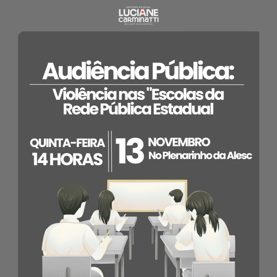 Luciane realiza audiência para discutir escalada de violência contra educadores