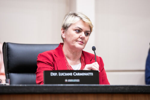 - Deputada Luciane Carminatti (PT)