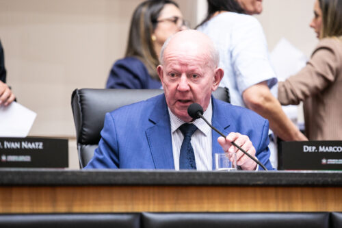 - Deputado Marcos Vieira (PSDB)