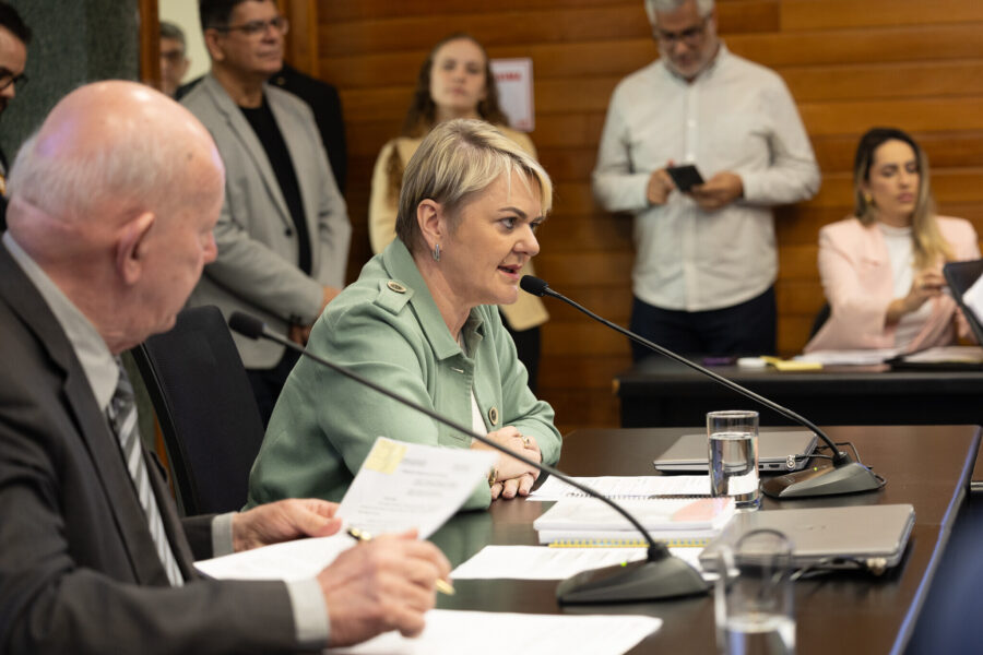 - Deputada Luciane Carminatti (PT)
