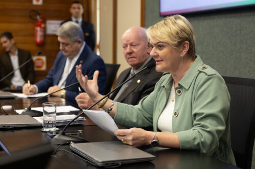 - Deputado Antídio Lunelli (MDB) 	
- Deputado Marcos Vieira (PSDB)
 - Deputada Luciane Carminatti (PT)