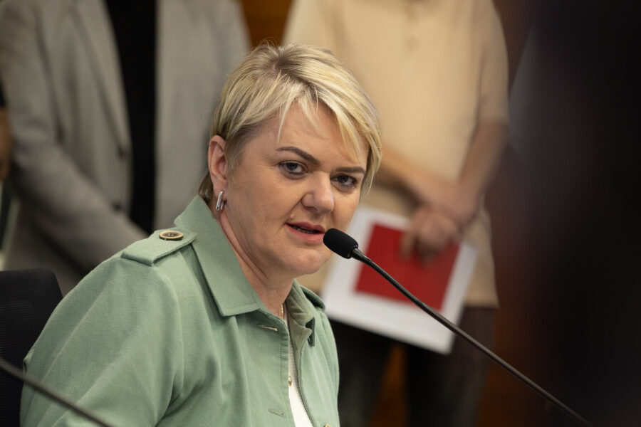 - Deputada Luciane Carminatti (PT)