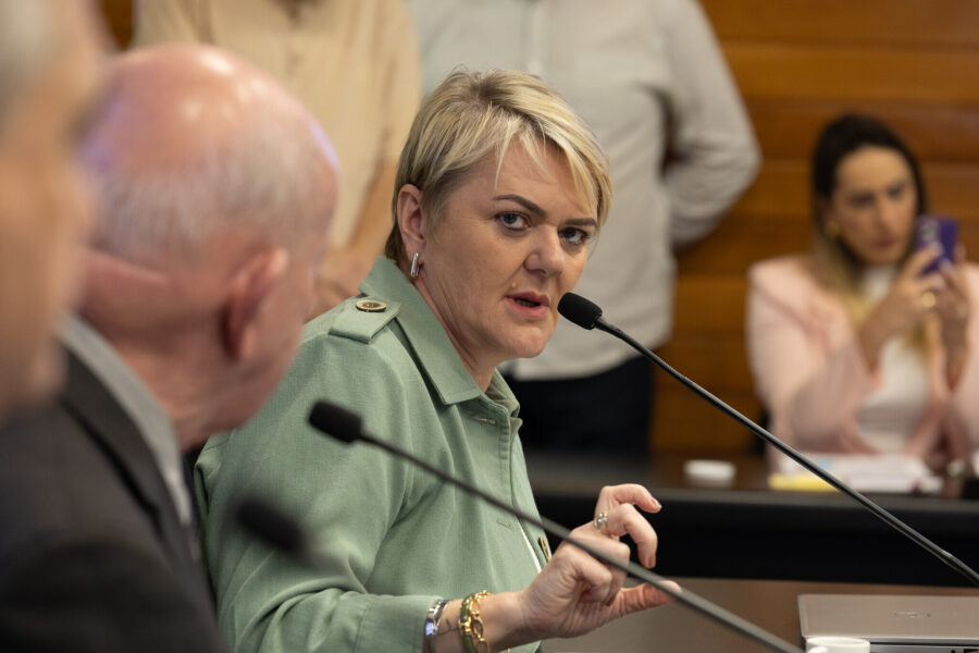 - Deputada Luciane Carminatti (PT)