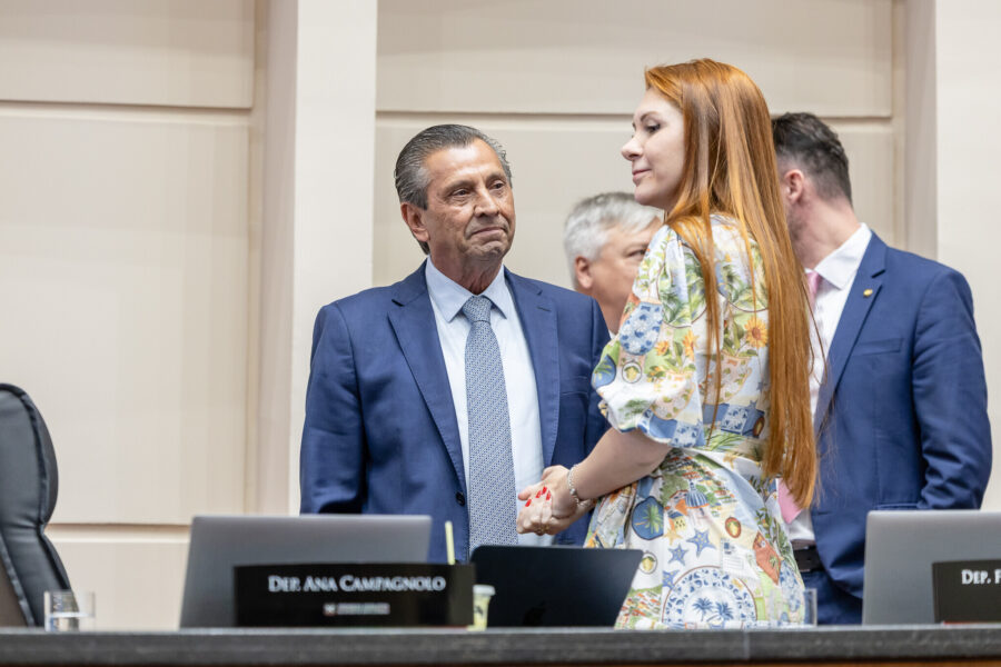 - Deputado Julio Garcia (PSD) 	 - Deputada Ana Campagnolo (PL)