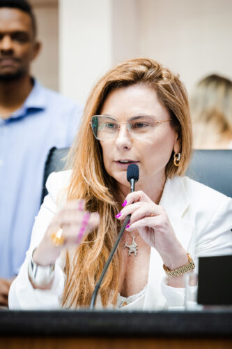 - Deputada Paulinha (Podemos)