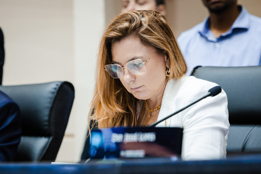 - Deputada Paulinha (Podemos)