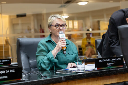 - Deputada Luciane Carminatti (PT)