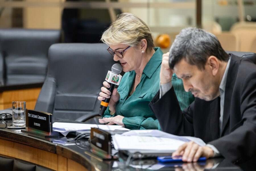 - Deputada Luciane Carminatti (PT)