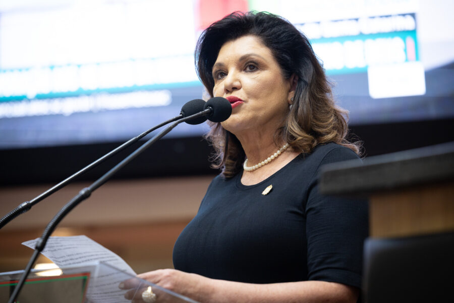 Marilisa Boehm, vice-governadora do Estado.