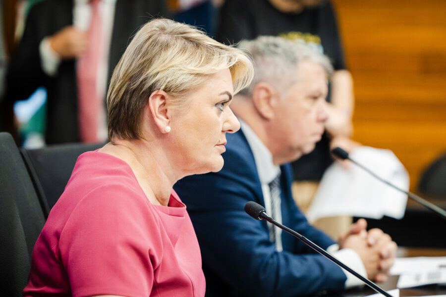 - Deputada Luciane Carminatti (PT)