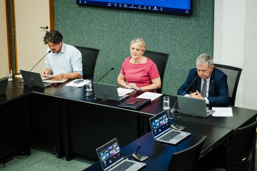 - Deputado Marquito (PSOL)
- Deputada Luciane Carminatti (PT) 		
 - Deputado Mário Motta (PSD)