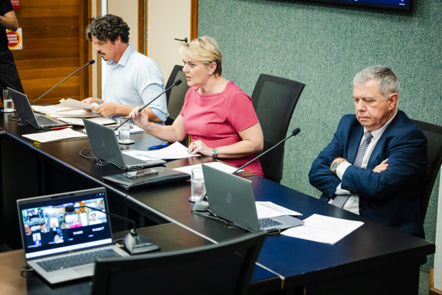 - Deputada Luciane Carminatti (PT) 		
 - Deputado Mário Motta (PSD)