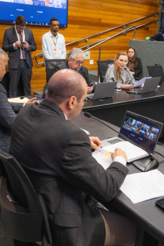 - Deputada Paulinha (Podemos)