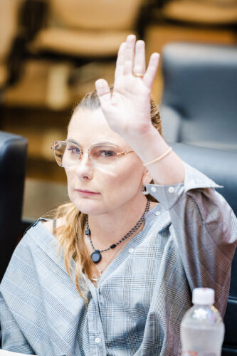 - Deputada Paulinha (Podemos)