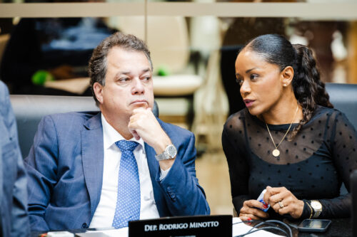 - Deputado Rodrigo Minotto (PDT)