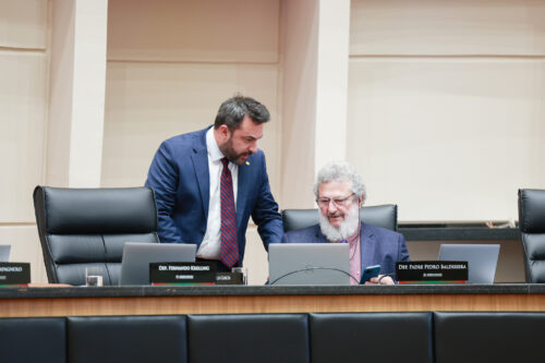 - Deputado Marcius Machado (PL) 
- Deputado Padre Pedro Baldissera (PT)