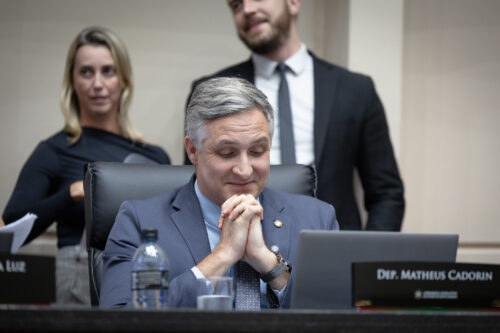 - Deputado Matheus Cadorin (NOVO)