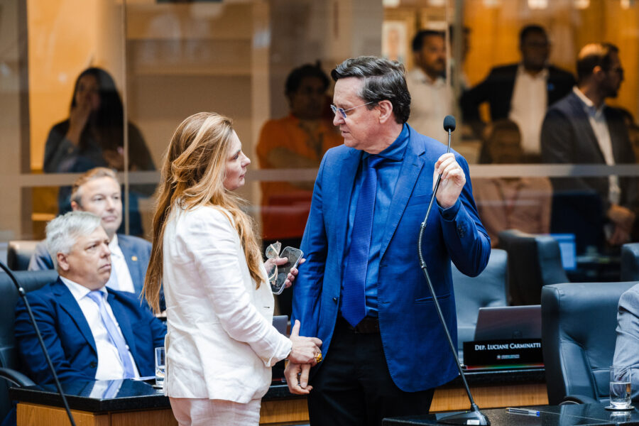 - Deputada Paulinha (Podemos) 	
 - Deputado Jair Miotto (União)