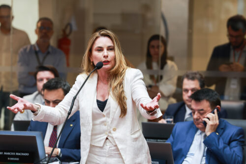 - Deputada Paulinha (Podemos)