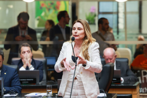 - Deputada Paulinha (Podemos)