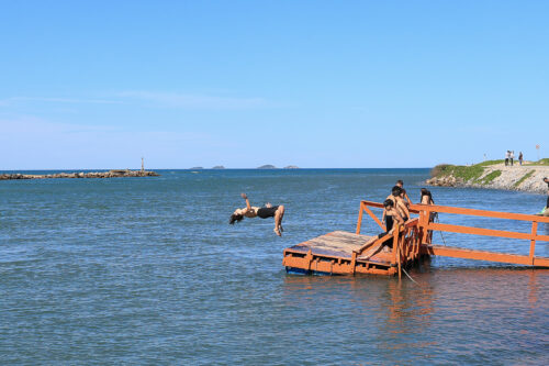 Boca da Barra - Canal do Linguado