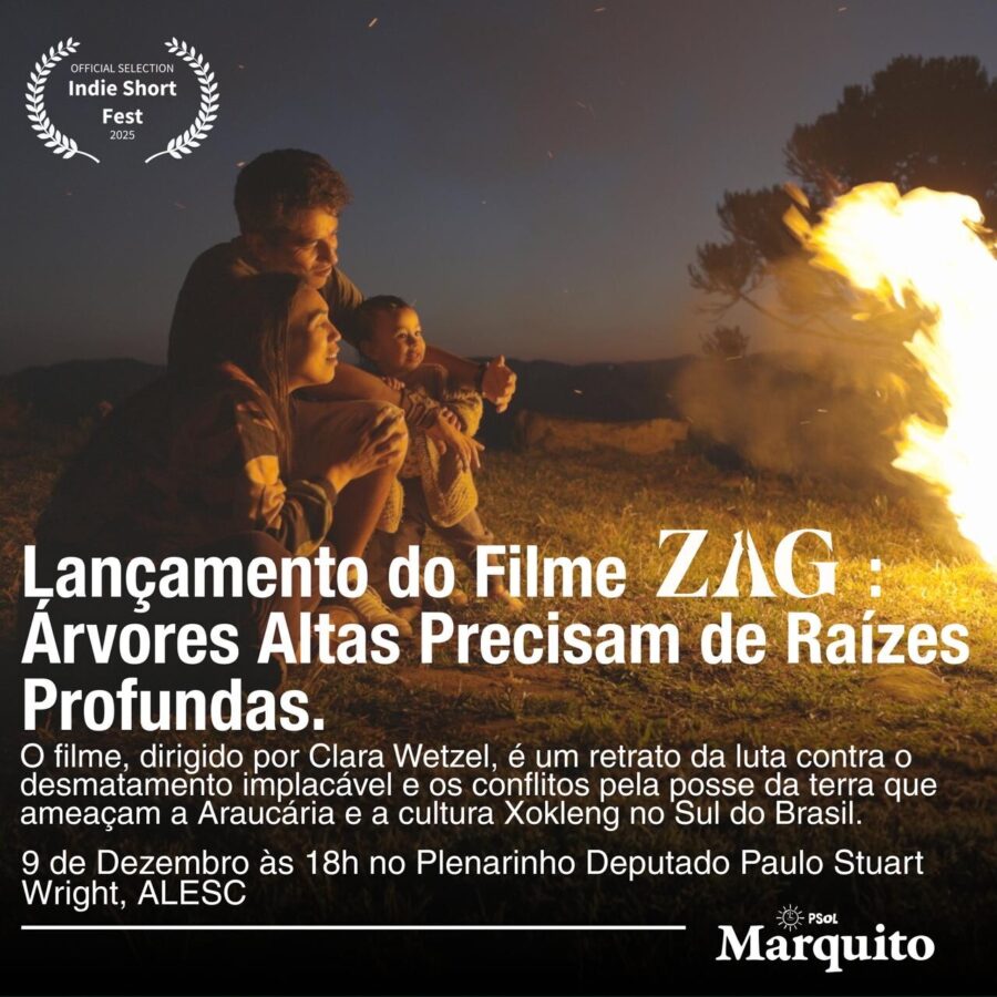 Documentário “ZAG: Árvores Altas Precisam de Raízes Profundas” será lançado na Alesc