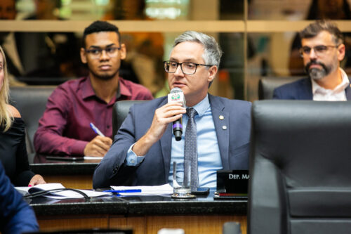 - Deputado Matheus Cadorin (NOVO)