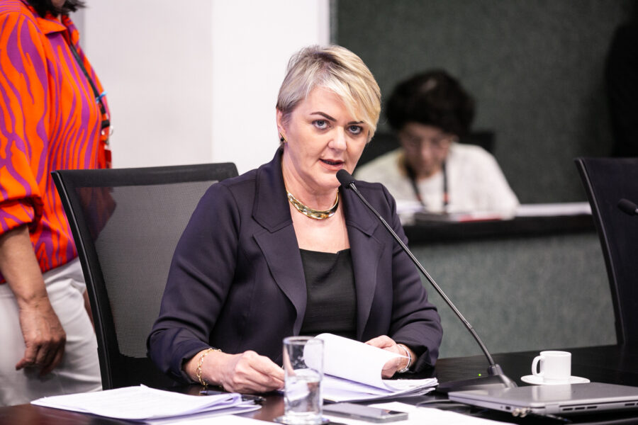 - Deputada Luciane Carminatti (PT)
