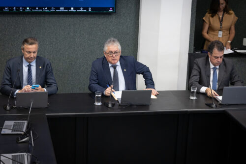 - Deputado Napoleão Bernardes (PSD) 	
 - Deputado Tiago Zilli (MDB)
 - Deputado Rodrigo Minotto (PDT)