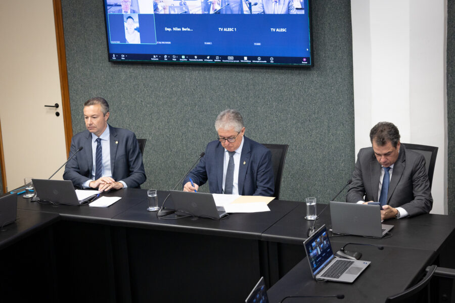 - Deputado Napoleão Bernardes (PSD) 	
 - Deputado Tiago Zilli (MDB)
 - Deputado Rodrigo Minotto (PDT)
