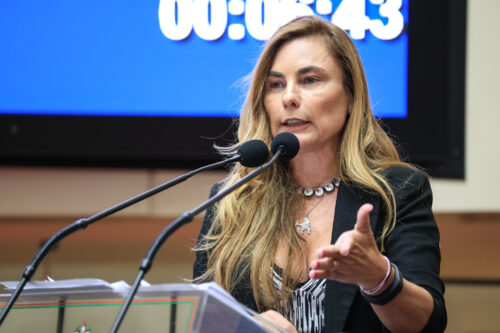 - Deputada Paulinha (Podemos)
