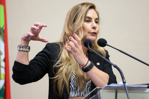 - Deputada Paulinha (Podemos)