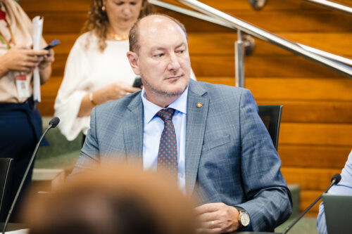 - Deputado Mauro de Nadal (MDB)