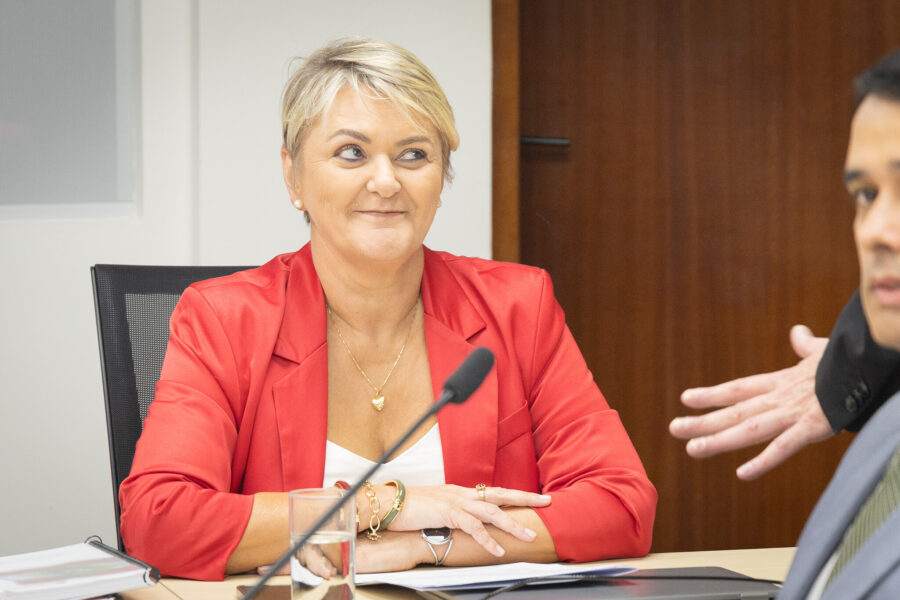 - Deputada Luciane Carminatti (PT)