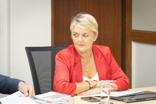 - Deputada Luciane Carminatti (PT)