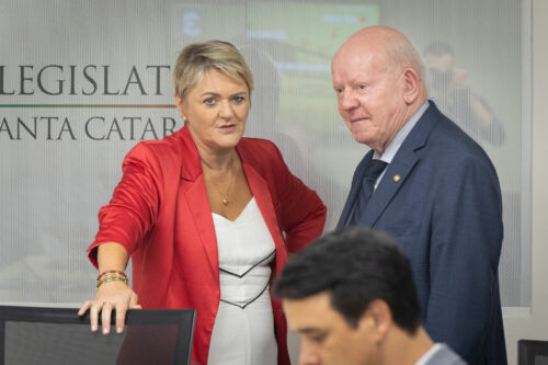- Deputada Luciane Carminatti (PT) 		
- Deputado Marcos Vieira (PSDB)