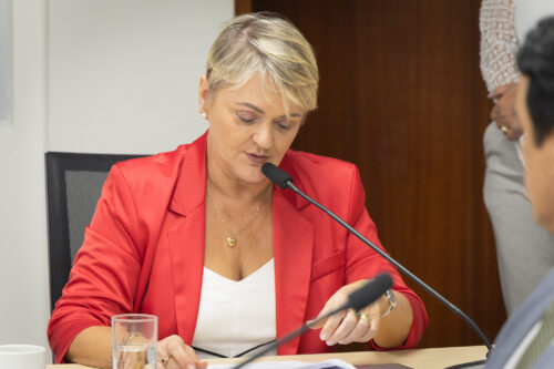 - Deputada Luciane Carminatti (PT)