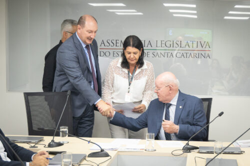 - Deputado Mauro de Nadal (MDB)
- Deputado Marcos Vieira (PSDB)
