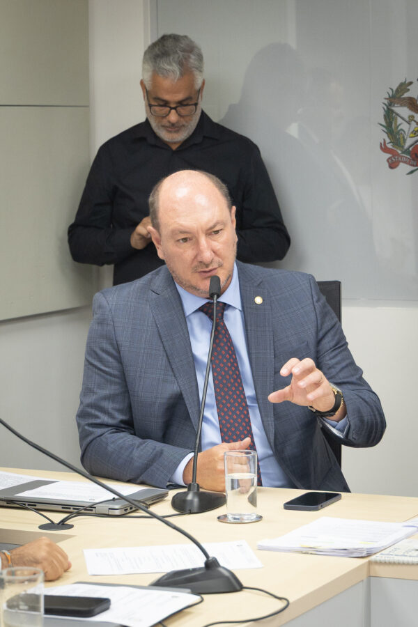 - Deputado Mauro de Nadal (MDB)