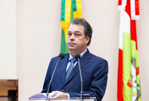- Deputado Rodrigo Minotto (PDT)