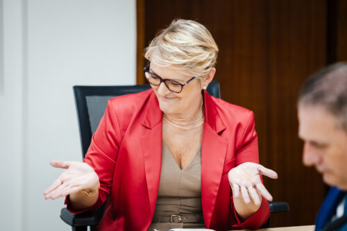 - Deputada Luciane Carminatti (PT)