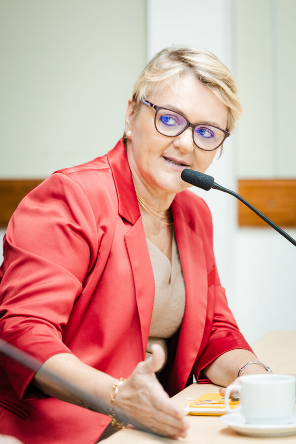 - Deputada Luciane Carminatti (PT)
