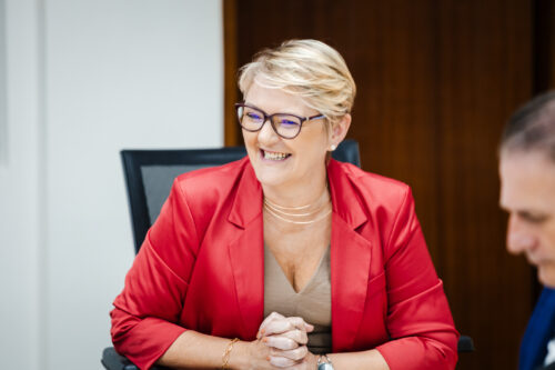 - Deputada Luciane Carminatti (PT)