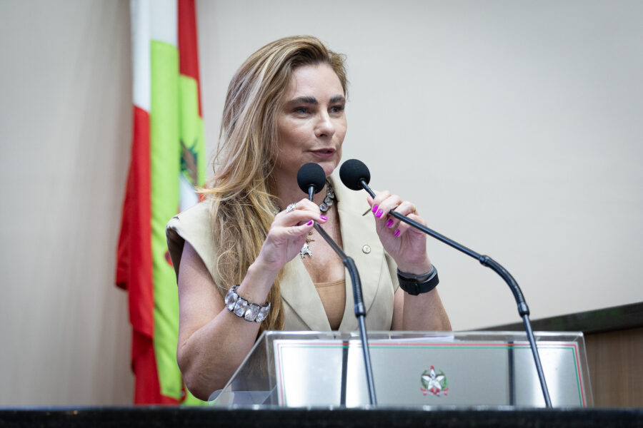 - Deputada Paulinha (Podemos)