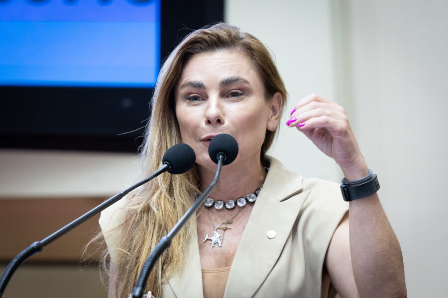 - Deputada Paulinha (Podemos)