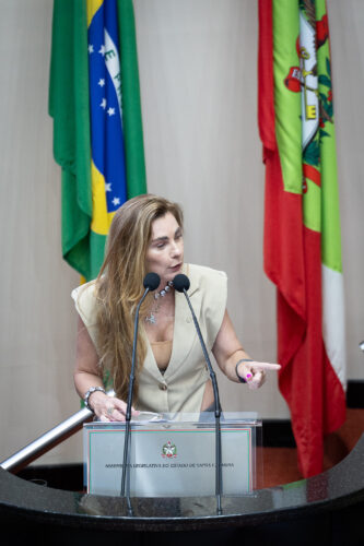 - Deputada Paulinha (Podemos)