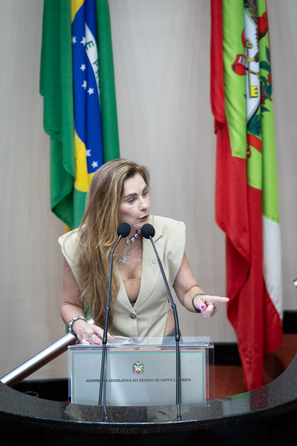 - Deputada Paulinha (Podemos)