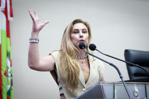 - Deputada Paulinha (Podemos)